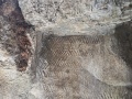 תמונה ממוזערת לגרסה מתאריך 10:27, 4 ביולי 2025