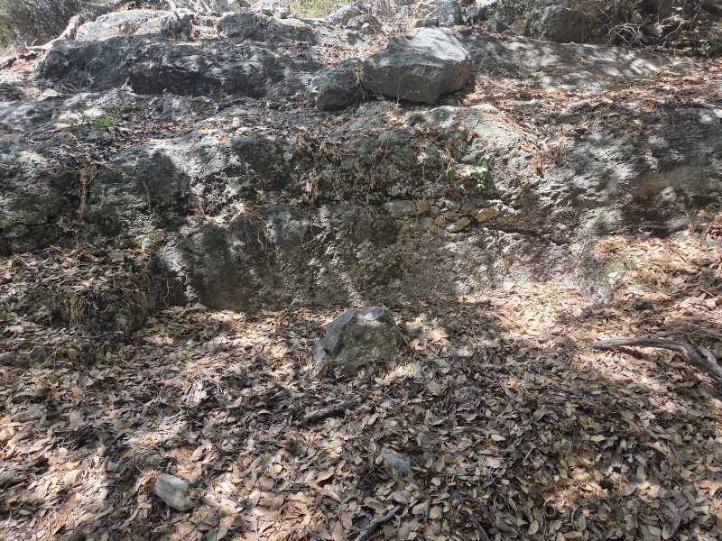 קובץ:2025-07-04T14 23 42.615407562683.jpg