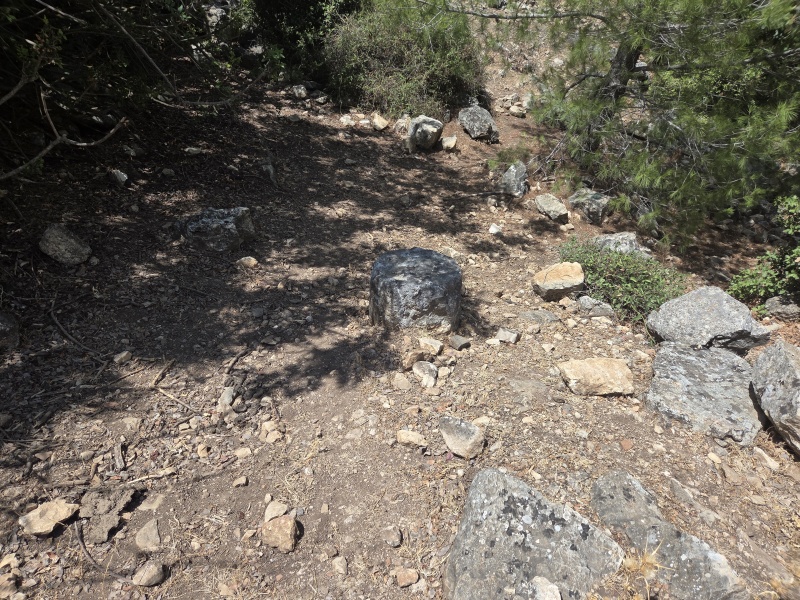 קובץ:2025-07-04T14 40 32.393626417558.jpg