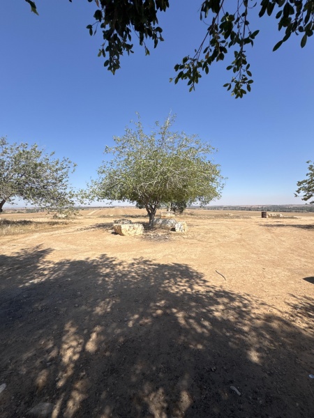 קובץ:2025-07-04T15 41 35.831207523426.jpg