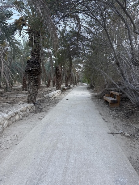 קובץ:2025-07-04T18 02 28.77667498997.jpg