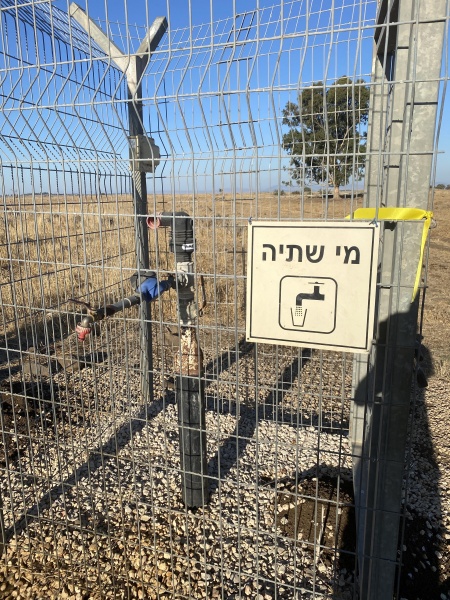 קובץ:2025-07-05T07 02 35.234028191403.jpg