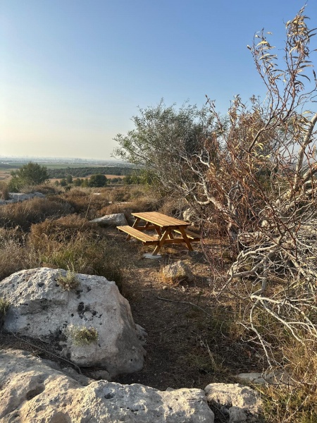 קובץ:2025-07-05T12 04 09.562661336293.jpg