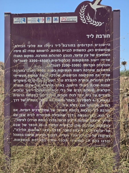 קובץ:2025-07-05T13 09 45.742171873160.jpg