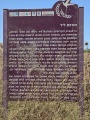 תמונה ממוזערת לגרסה מתאריך 09:49, 5 ביולי 2025