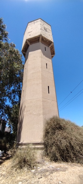קובץ:2025-07-05T13 45 19.382386814463.jpg