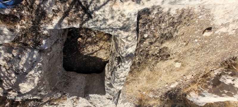 קובץ:2025-07-06T10 17 08.210129940500.jpg