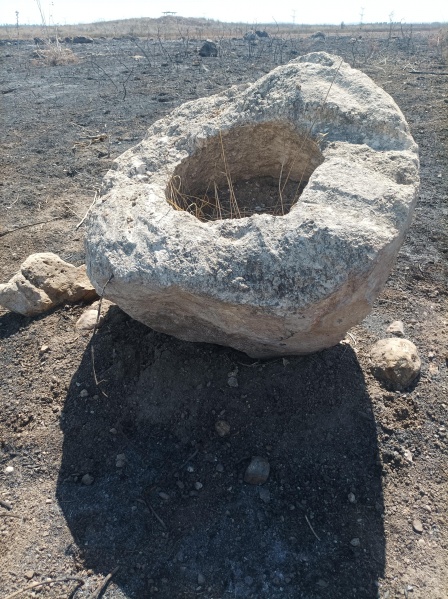 קובץ:2025-07-06T10 19 32.001919518257.jpg