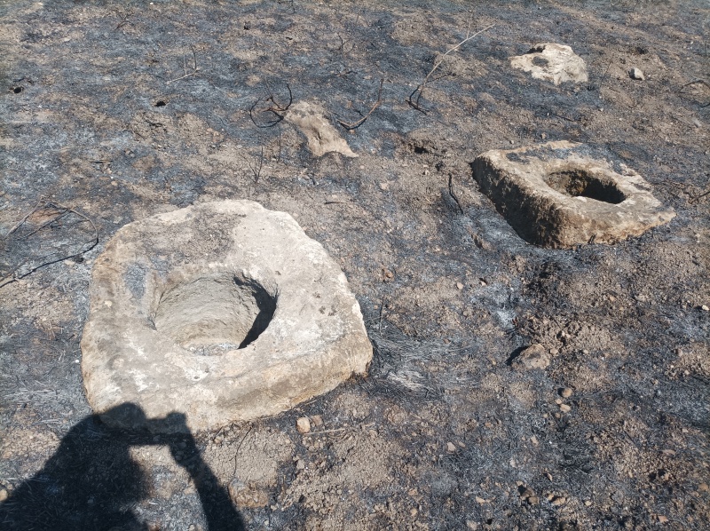 קובץ:2025-07-06T10 21 14.552116618388.jpg