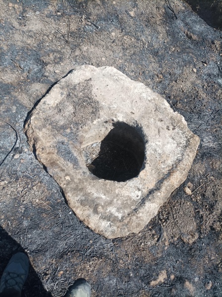 קובץ:2025-07-06T10 21 30.515475285456.jpg