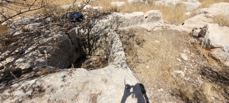 קובץ:2025-07-06T10 24 44.753557526312.jpg