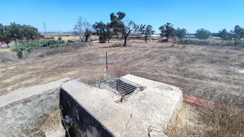קובץ:2025-07-06T14 35 31.316644844854.jpg