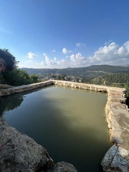 קובץ:2025-07-06T23 46 21.668358312013.jpg