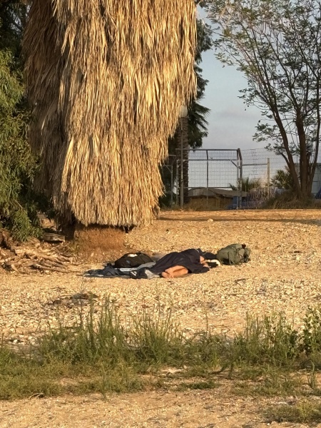 קובץ:2025-07-08T06 36 08.030005968768.jpg
