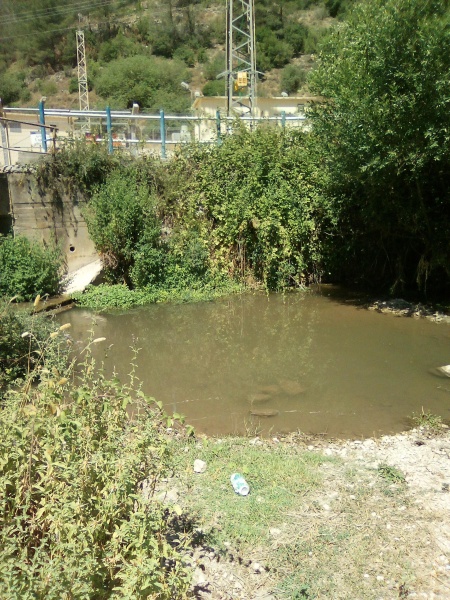 קובץ:2025-07-08T10 48 44.011713590711.jpg