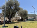 תמונה ממוזערת לגרסה מתאריך 09:40, 8 ביולי 2025