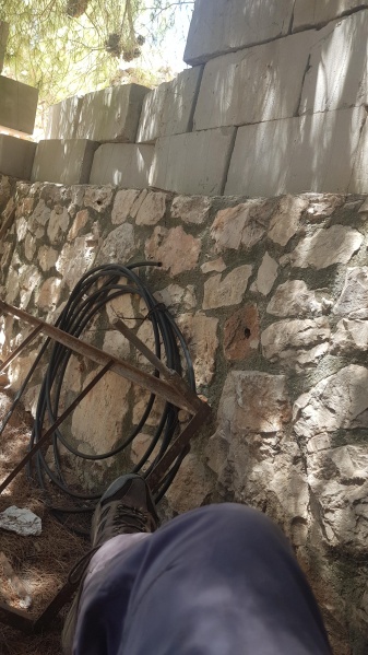 קובץ:2025-07-08T13 56 26.269768546618.jpg