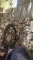 תמונה ממוזערת לגרסה מתאריך 14:43, 8 ביולי 2025