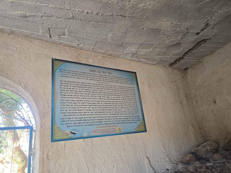 קובץ:2025-07-08T18 50 36.864663548164.jpg