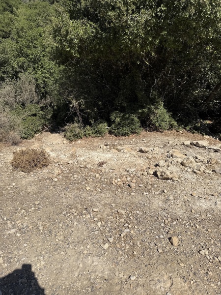קובץ:2025-07-09T10 09 10.145802983873.jpg