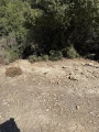 תמונה ממוזערת לגרסה מתאריך 09:20, 9 ביולי 2025