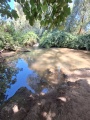 תמונה ממוזערת לגרסה מתאריך 08:05, 9 ביולי 2025
