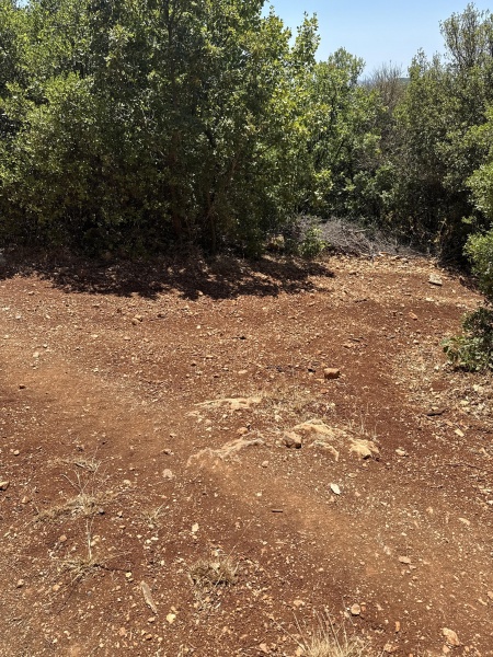 קובץ:2025-07-09T13 45 31.875040959055.jpg
