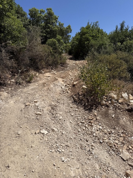 קובץ:2025-07-09T14 18 24.087475799813.jpg