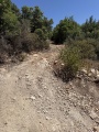 תמונה ממוזערת לגרסה מתאריך 06:58, 14 ביולי 2025