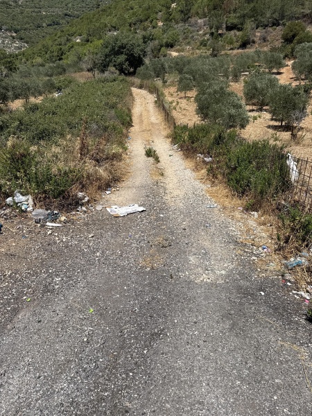 קובץ:2025-07-09T14 25 50.34412061027.jpg