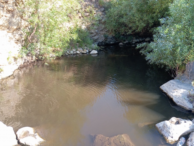 קובץ:2025-07-09T17 24 15.743202987452.jpg