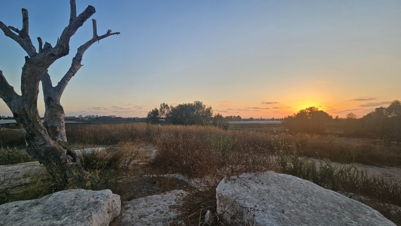 קובץ:2025-07-09T19 51 38.07354794112.jpg