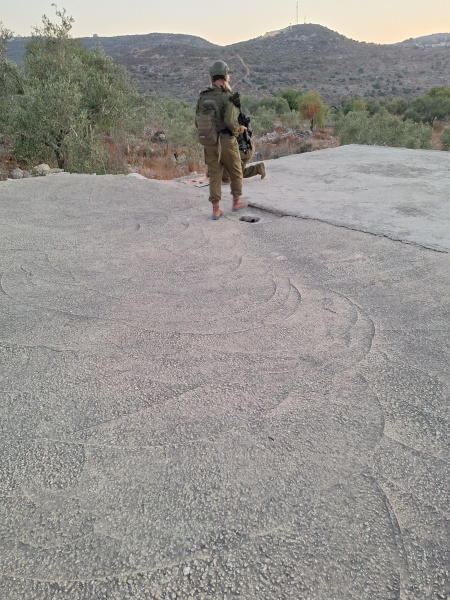 קובץ:2025-07-09T19 58 14.3638543802.jpg