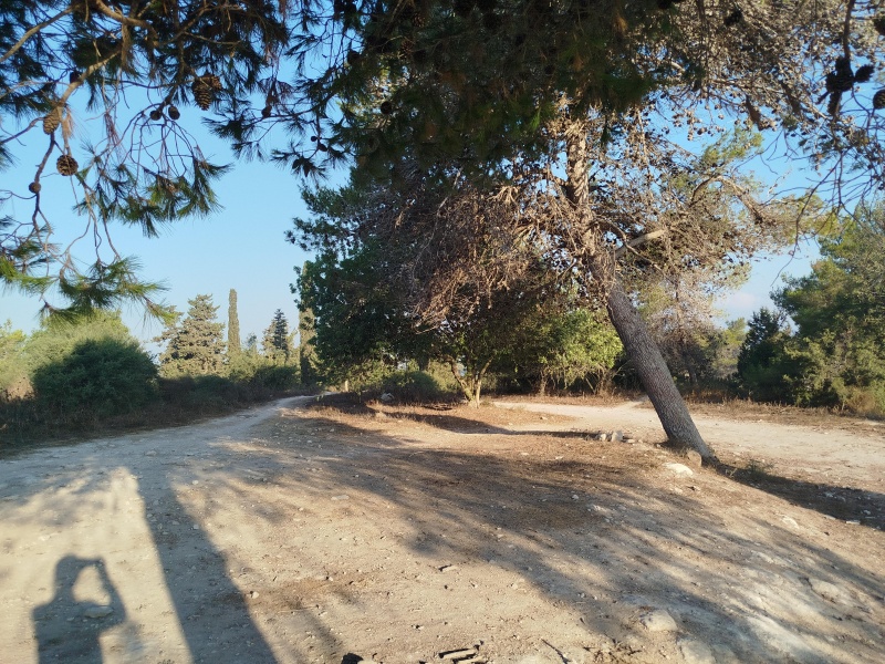 קובץ:2025-07-10T06 56 50.043498880877.jpg