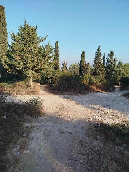 קובץ:2025-07-10T06 58 00.239313419581.jpg