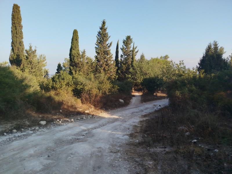 קובץ:2025-07-10T06 59 29.197462948333.jpg