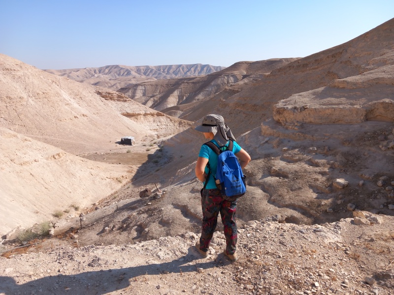 קובץ:2025-07-11T08 28 40.863480433746.jpg