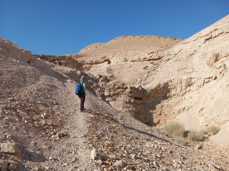 קובץ:2025-07-11T08 31 25.375133455705.jpg