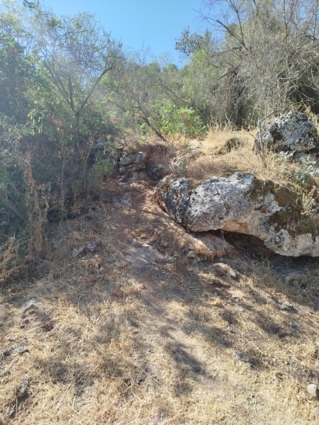 קובץ:2025-07-11T09 33 03.824324302904.jpg