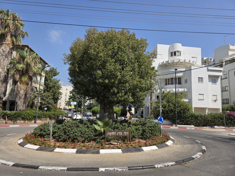 קובץ:2025-07-11T10 18 17.465852765029.jpg