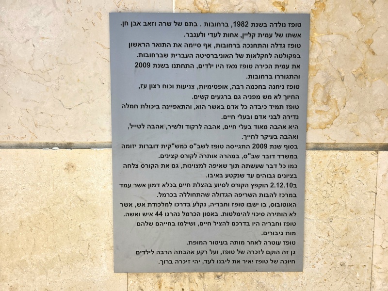 קובץ:2025-07-11T11 54 51.802701819058.jpg