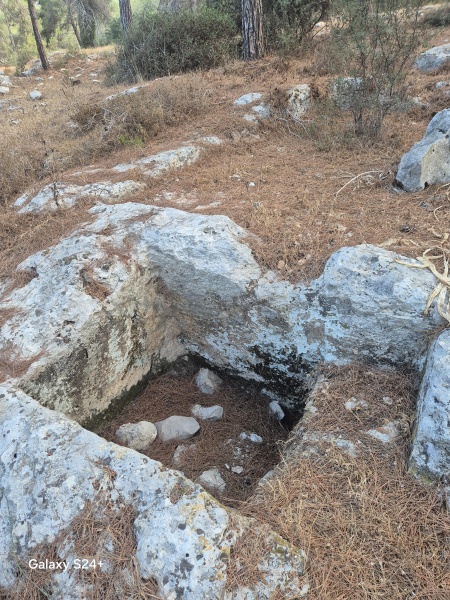 קובץ:2025-07-12T06 54 54.237803121210.jpg