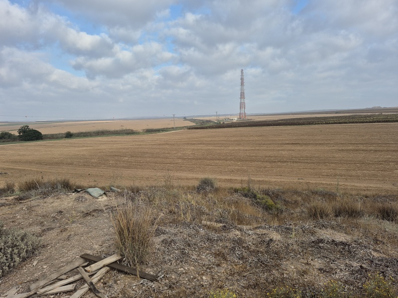 קובץ:2025-07-12T07 21 51.363071685592.jpg