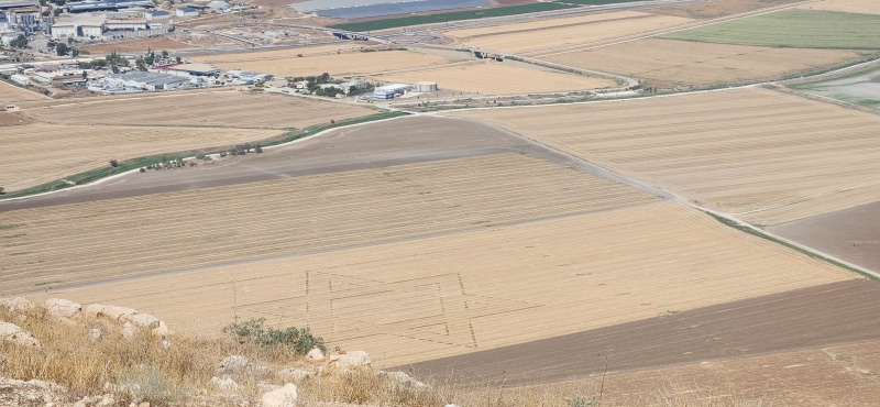 קובץ:2025-07-12T14 57 50.218148493966.jpg