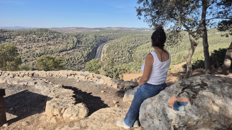 קובץ:2025-07-12T17 39 14.146893753734.jpg