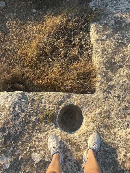 קובץ:2025-07-13T19 07 18.542359797248.jpg