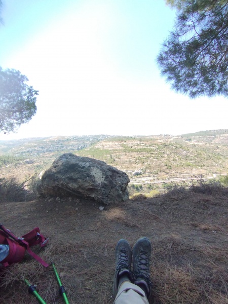 קובץ:2025-07-14T10 58 46.528766704750.jpg