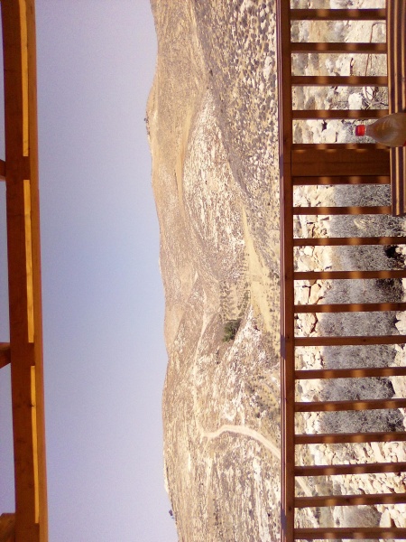 קובץ:2025-07-14T11 28 24.168502244123.jpg