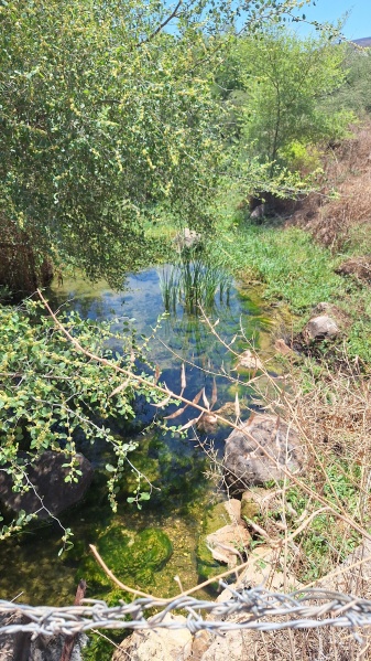 קובץ:2025-07-14T12 52 13.393840194485.jpg
