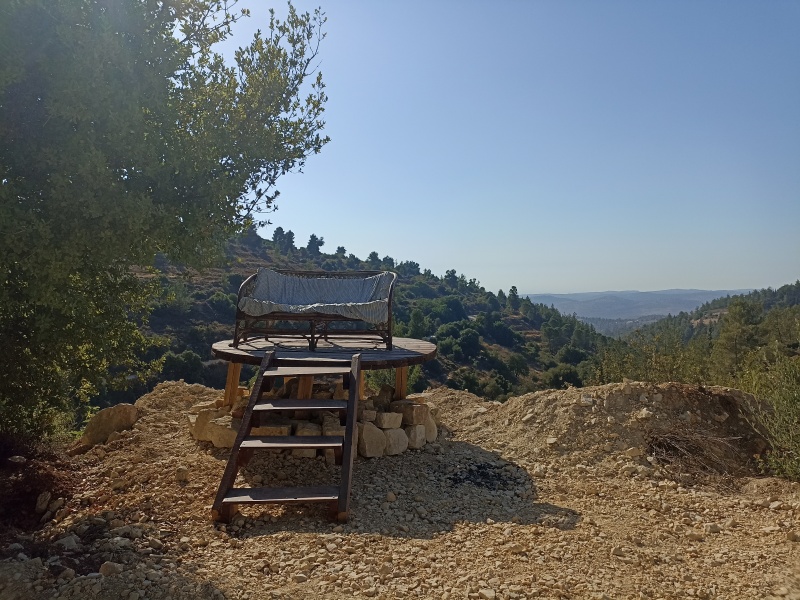 קובץ:2025-07-14T17 11 35.998223719421.jpg
